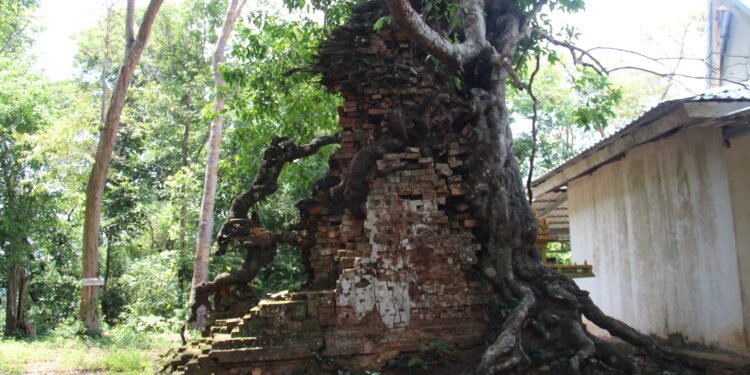 បុរាណដ្ឋានភ្នំបារៀង