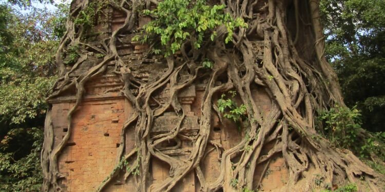 ប្រាសាទជ្រៃ