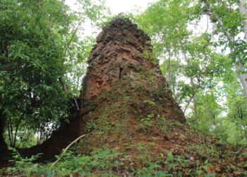 ប្រាសាទស្រែប្រាសាទ